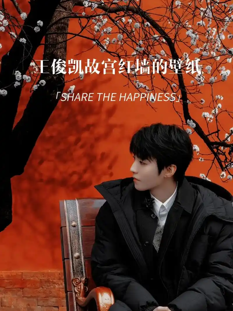 王俊凯故宫红墙的壁纸.#王俊凯故宫红墙的壁纸 #王俊凯 #王 - 抖音