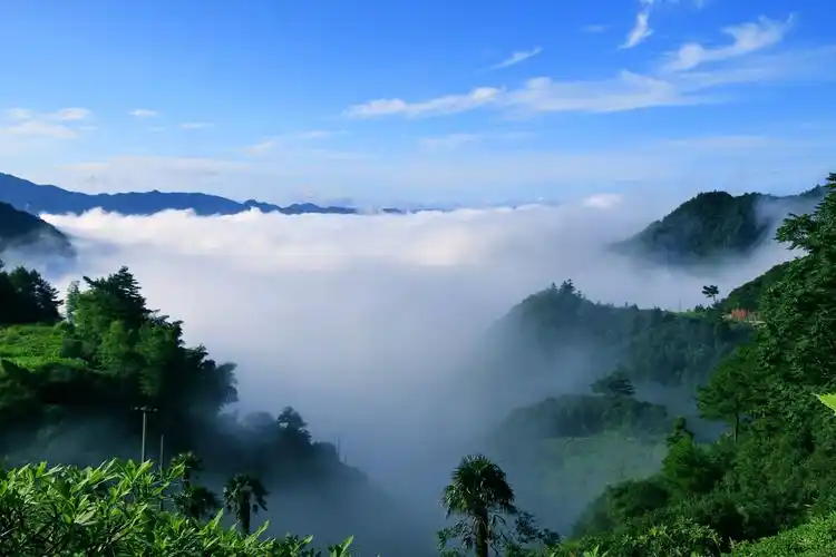 遂昌的云雾美,山水美和竹林美