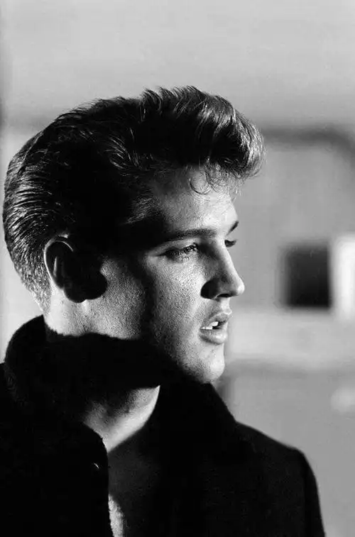 猫王elvis presley的pompadour风