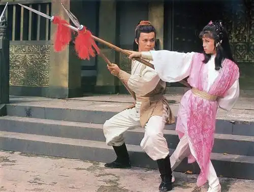 追忆星光回忆从翁美玲开始之射雕英雄传