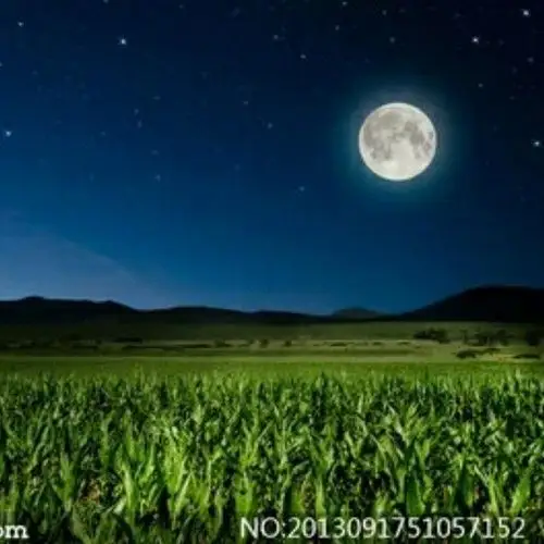 草原的月亮