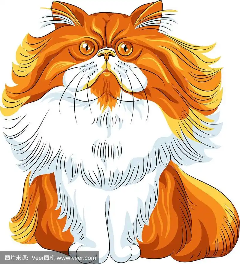 可爱的红色毛茸茸的波斯猫