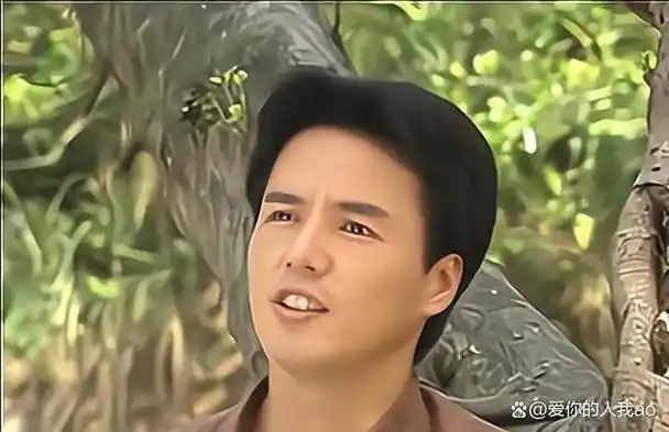 楚濂与紫菱,绿萍之间的情感纠葛,似乎在《一帘幽梦》中成为了许多观众