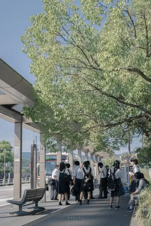 求一些很青春校园的壁纸