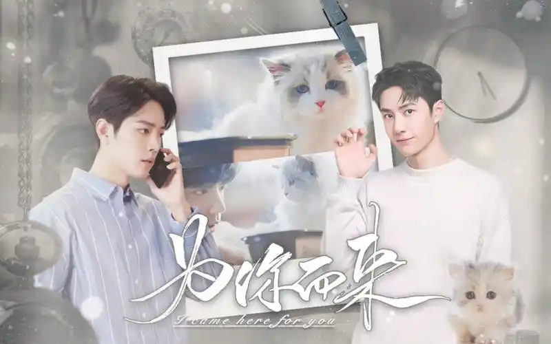 【战山为王】为你而来|第一集|猫猫×猫奴|he