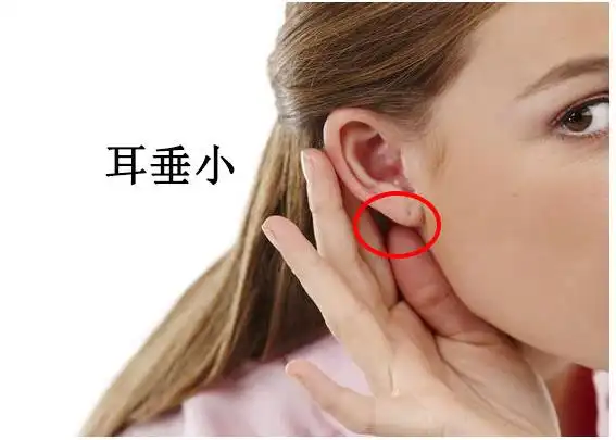 耳垂小的人性格好吗?值得信任吗?