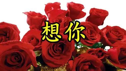 一首情歌梦中想着你mv天天都想你把你放在我心里