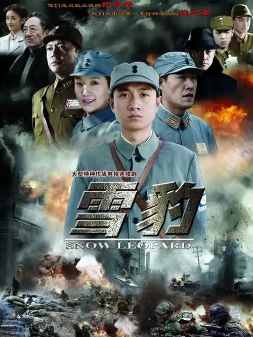 在《亮剑》之后,抗战剧当中最经典 ,最耐看的就是《雪豹》了,在2010年