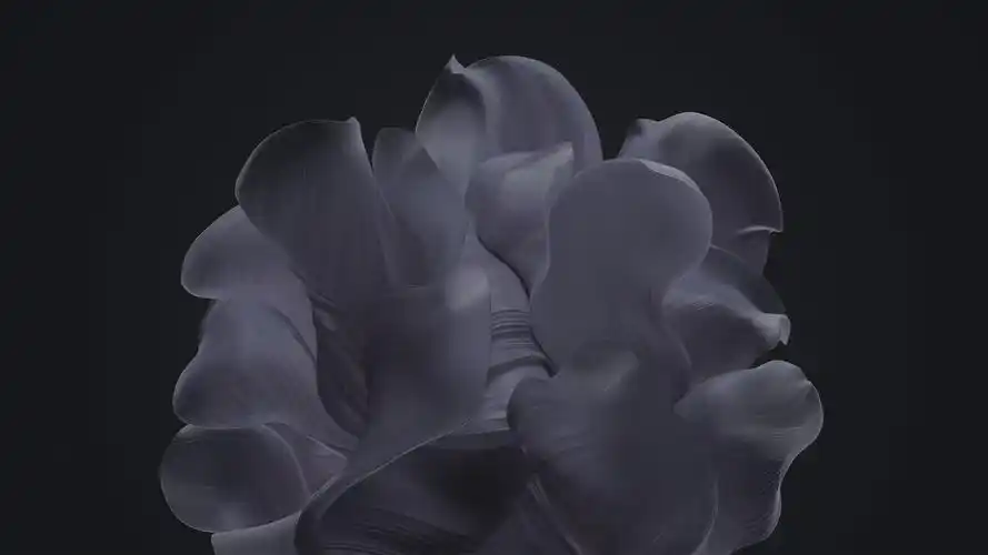 而windows 11有一个抽象的鲜花形壁纸,有深色