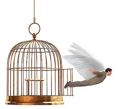 一个,男人,套装,飞,室外,黄铜,鸟笼,白色背景