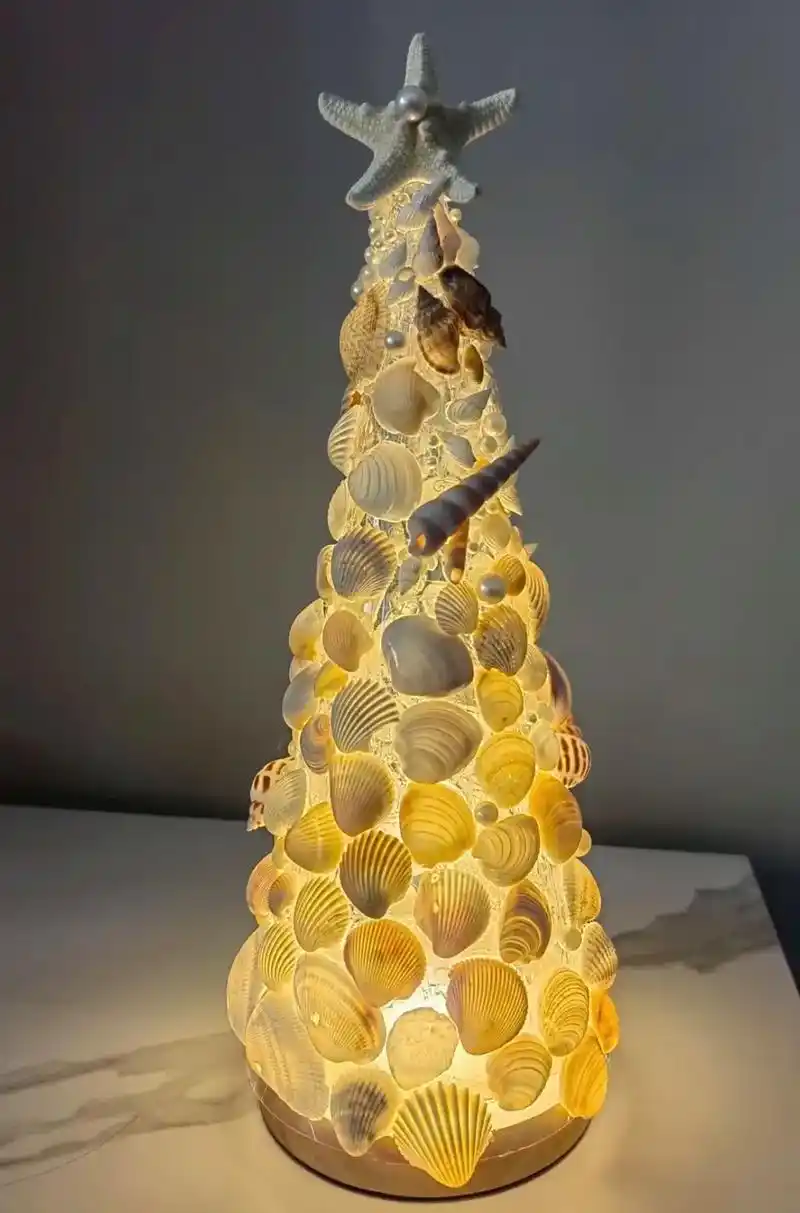 贝壳海螺可以diy好多好多东西呀,太治愈啦 (图 - 抖音