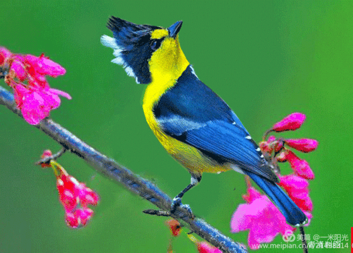 748_537gif 动态图 动图