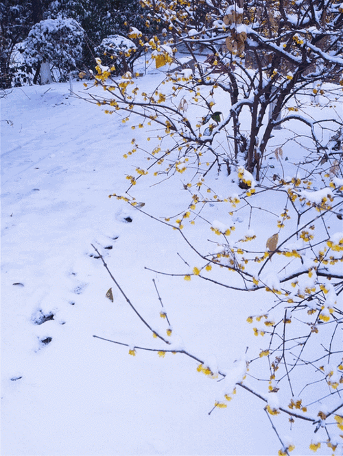 640_853竖版 竖屏gif 动态图 动图