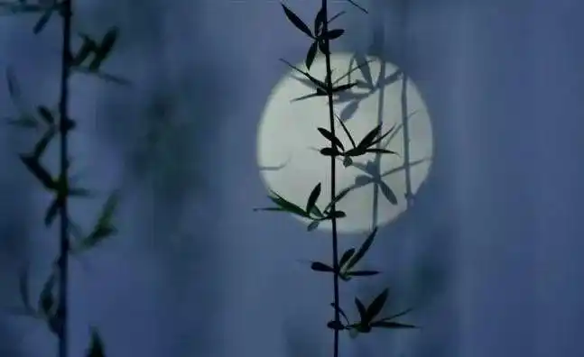 清风明月是最浪漫的事