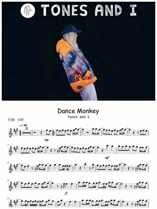 dancemonkey长笛提琴谱有伴奏