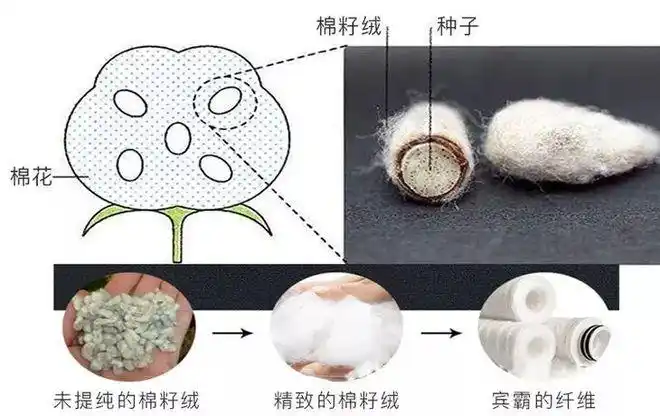 秋冬内搭不如一件小高领保暖又有型穿上显瘦10斤