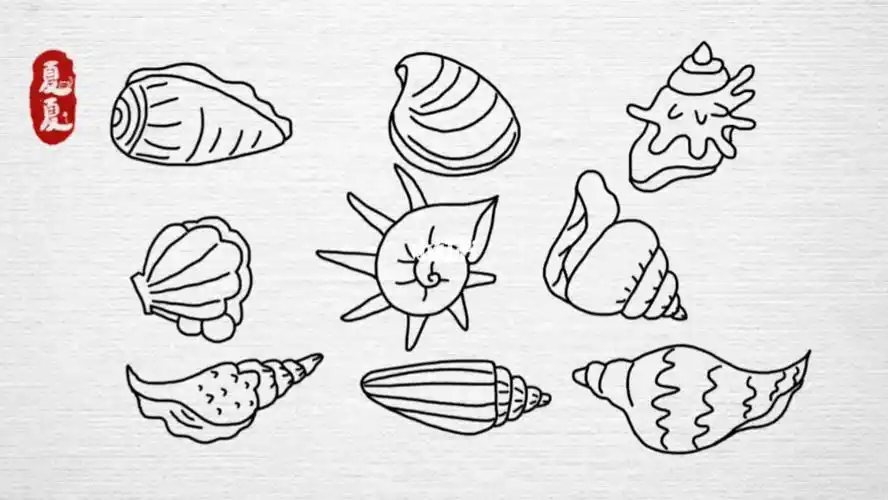简笔画贝壳