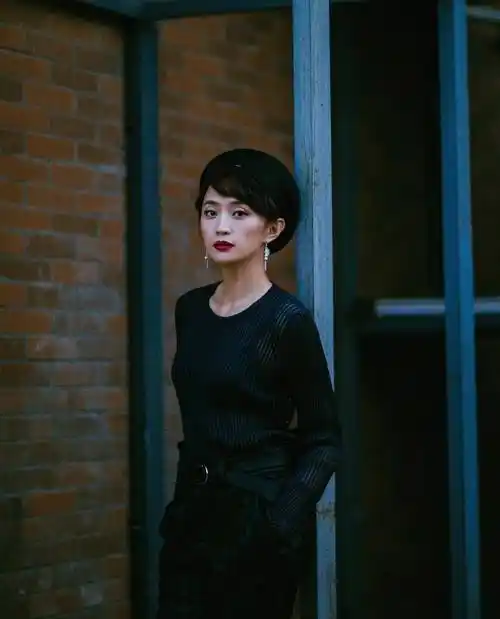 张澍年轻像"花瓶",何晴虽老却如贵妇_身材_黑色_效果