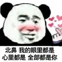 北鼻我的眼里都是,心里都是,全部都是你