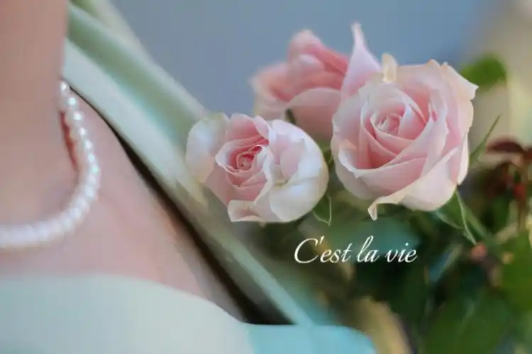 粉玫瑰法式氛围感