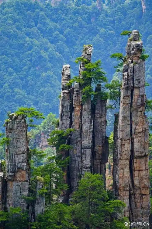 张家界地貌类型多样其中最具特色的是什么地貌