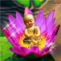 佛教莲花图片大全头像 最好看漂亮的佛教莲花图片 - 头像图片 - 潮人