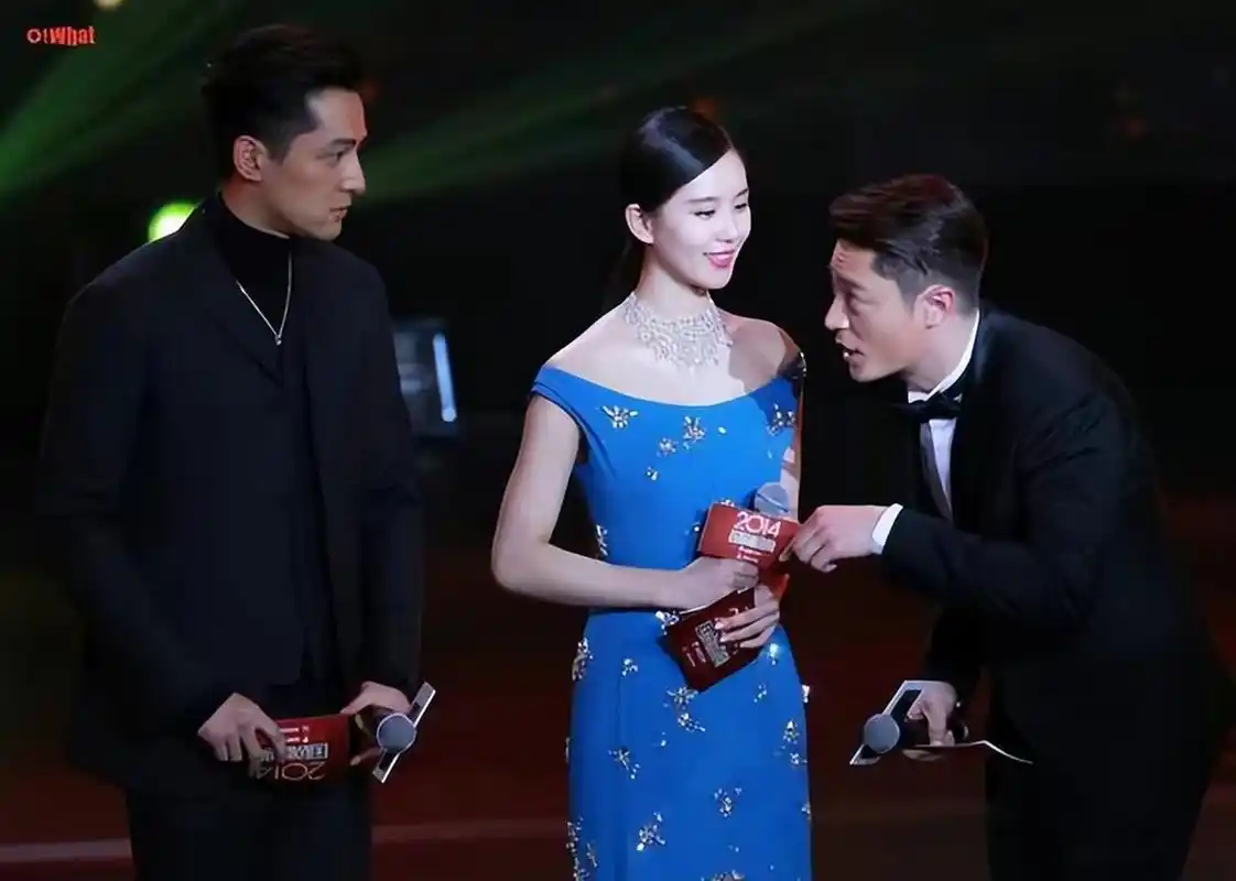 现场,胡歌好友刘敏涛,刘诗诗,霍建华特意录制了视频支持他.