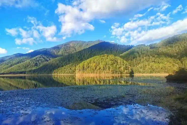 云南云龙天池国家级自然保护区