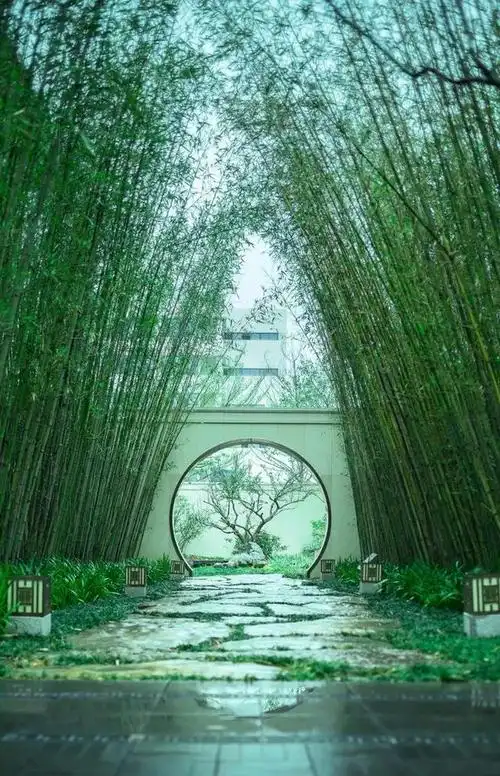 古色古香的院落名字(五个古香古色的中式庭院)