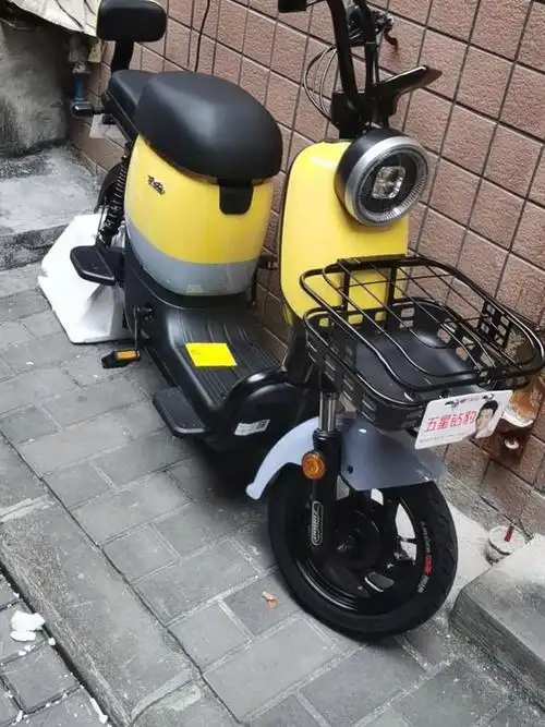 五星钻豹电动车