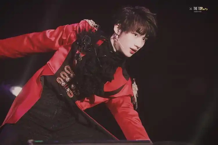 丁程鑫 v5 演唱会 - 堆糖,美图壁纸兴趣社区