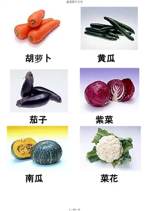 蔬菜图片大全