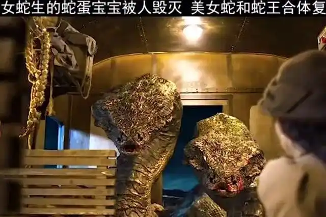 美女蛇生的蛇蛋宝宝被人毁灭美女蛇与蛇王合体复仇