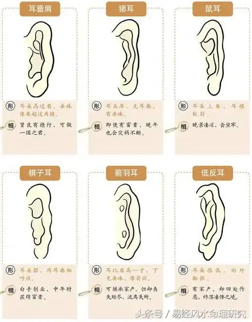 面相学教你:观耳识人