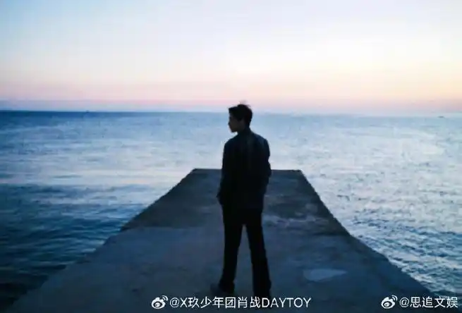 肖战背影神图##肖战海边落日剪影照