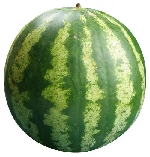 四新素材-四新图片-四新素材图片下载-觅知网