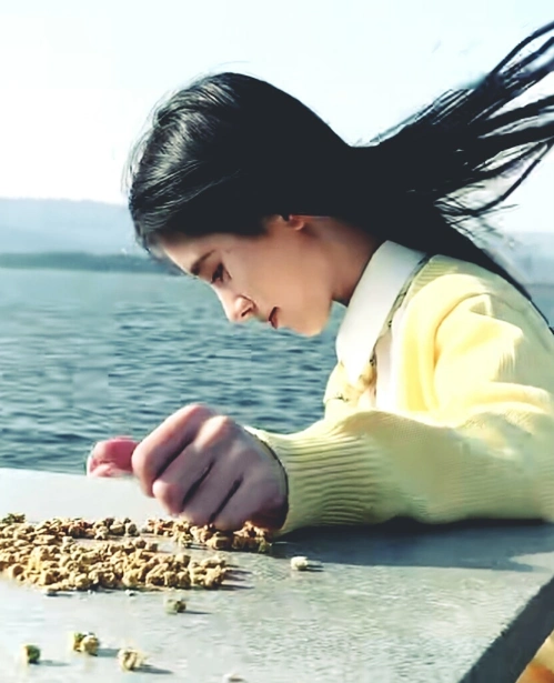 鞠婧祎喂海鸥被抓拍无意暴露真实五官这鼻子我捏都捏不出来