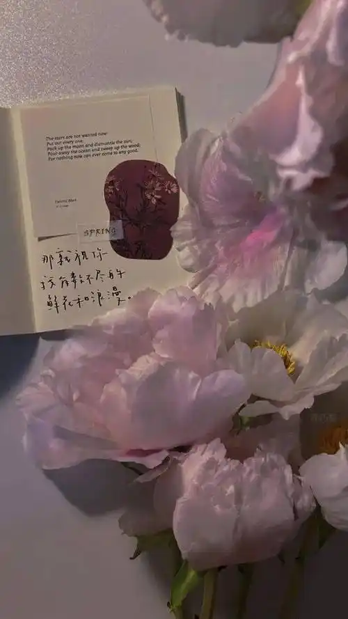 每日壁纸ins风高级小众壁纸手机高清全屏壁纸