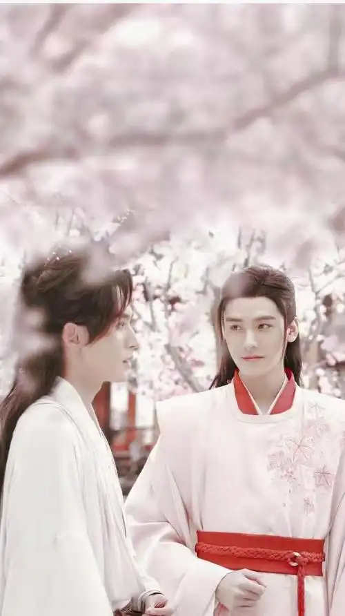 是温客行,把周子舒变成了人见人爱的阿絮(山河令)剧评