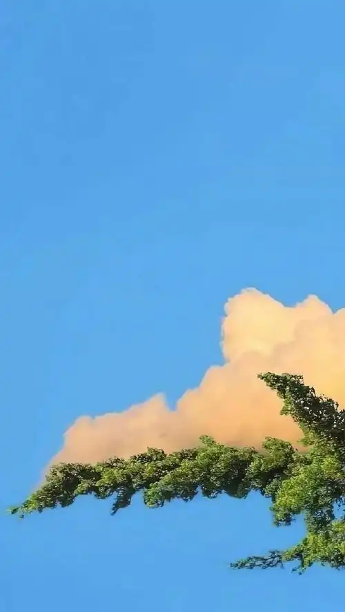 三观很正的优质句子,干净走心,适合发朋友圈