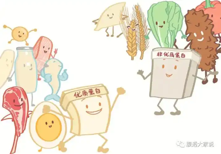 揭开蛋白质的面纱-腹透大家说