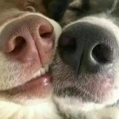 沙雕#情头 望喜_情侣头像_我要个性网