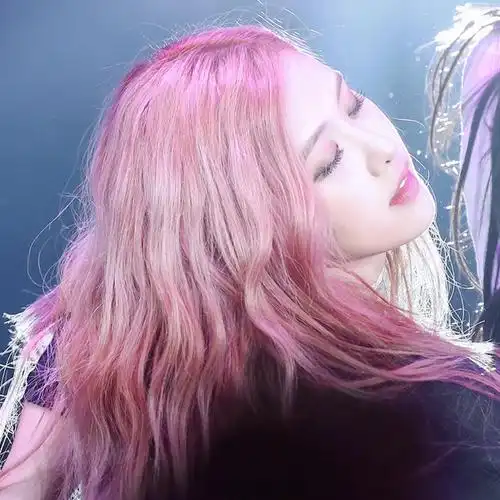 朴彩英rose by林沂