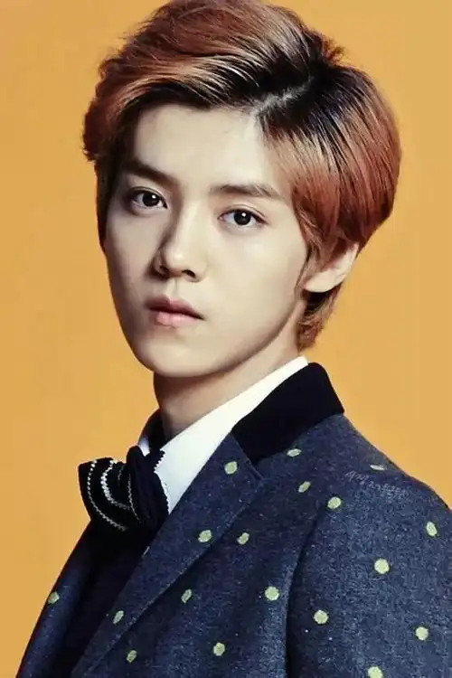 鹿晗资料 鹿晗中国内地男演员,歌手(图2)