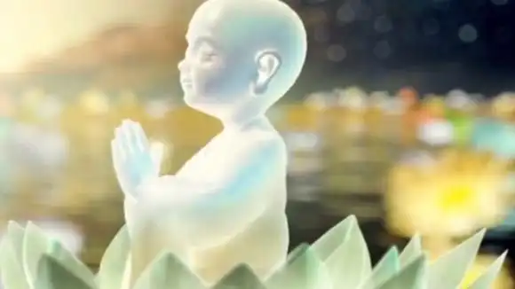 4k高清 西方极乐世界莲花化生动画-动漫视频-搜狐视频