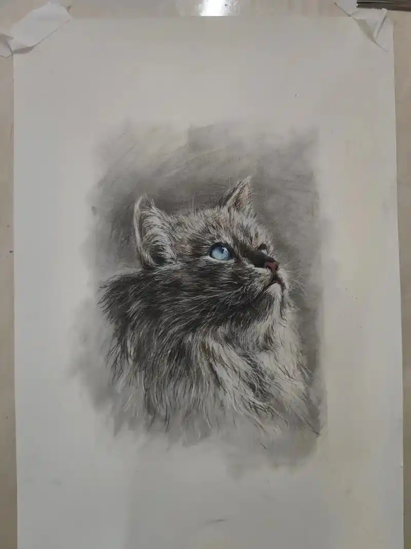 原创绘画 #素描 #素描动物 #日常碎片 - 抖音