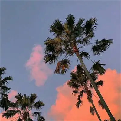 精致好看的微信背景图头像合集_风景头像_美头网