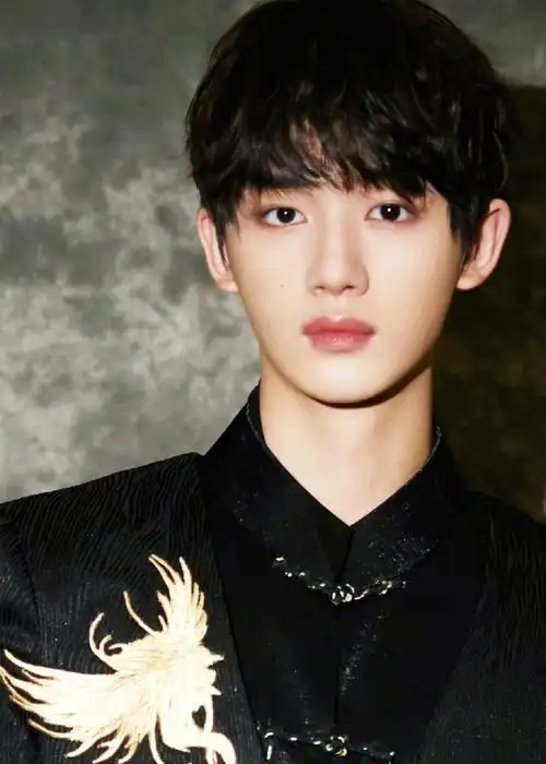 丁程鑫 潮起中国非遗焕新夜##潮起中国非遗焕新夜