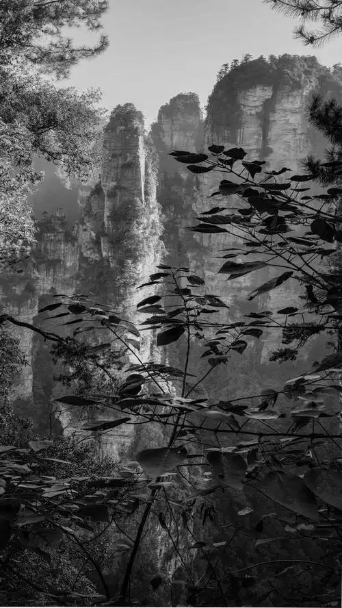 刘志超:风景黑白摄影的无穷魅力——张家界采风体验