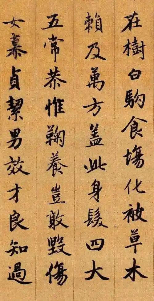 绝美!赵孟頫行书《千字文》高清大图.
